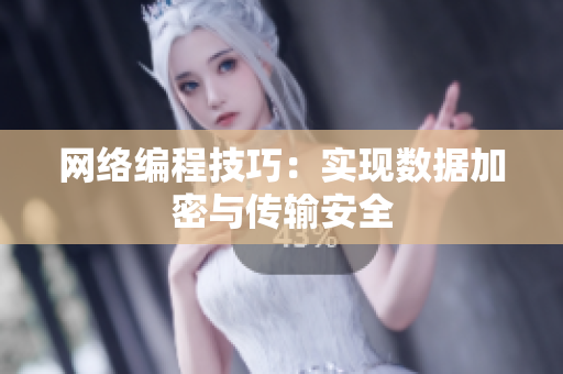 网络编程技巧：实现数据加密与传输安全