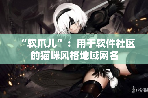 “软爪儿”：用于软件社区的猫咪风格地域网名