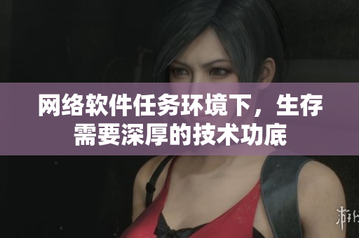 网络软件任务环境下，生存需要深厚的技术功底