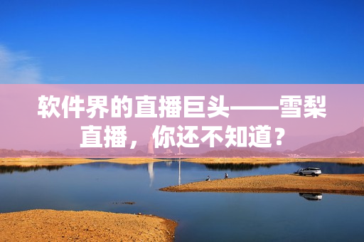 软件界的直播巨头——雪梨直播，你还不知道？