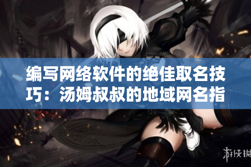 编写网络软件的绝佳取名技巧：汤姆叔叔的地域网名指南