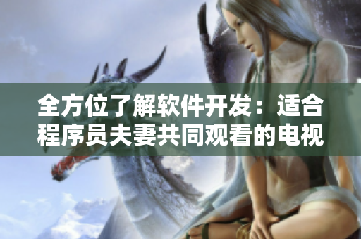 全方位了解软件开发：适合程序员夫妻共同观看的电视剧推荐
