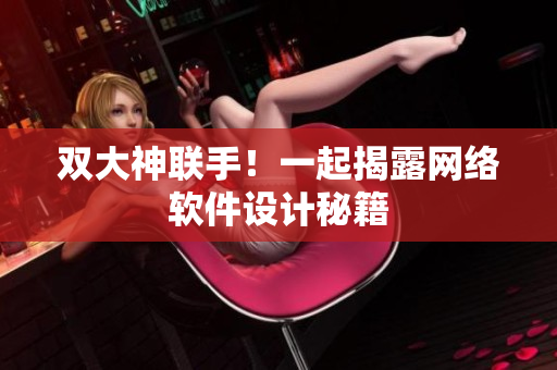 双大神联手！一起揭露网络软件设计秘籍