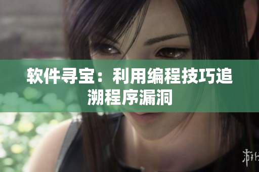 软件寻宝：利用编程技巧追溯程序漏洞