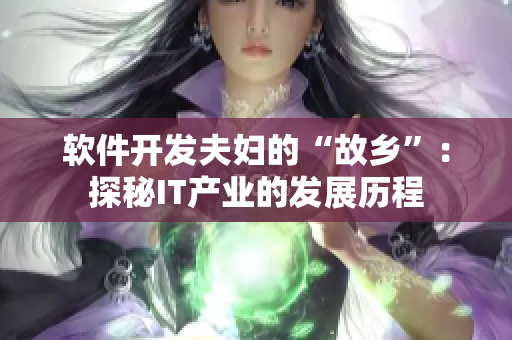 软件开发夫妇的“故乡”：探秘IT产业的发展历程
