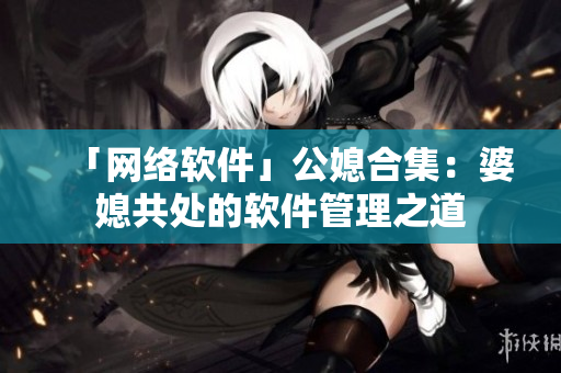 「网络软件」公媳合集：婆媳共处的软件管理之道
