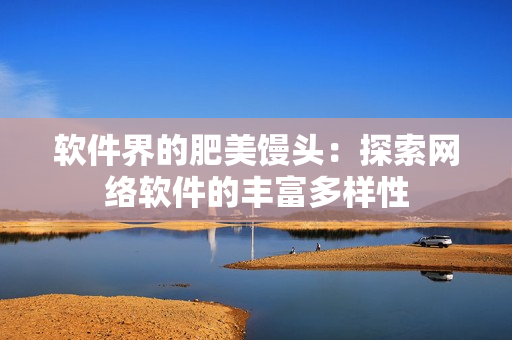 软件界的肥美馒头：探索网络软件的丰富多样性
