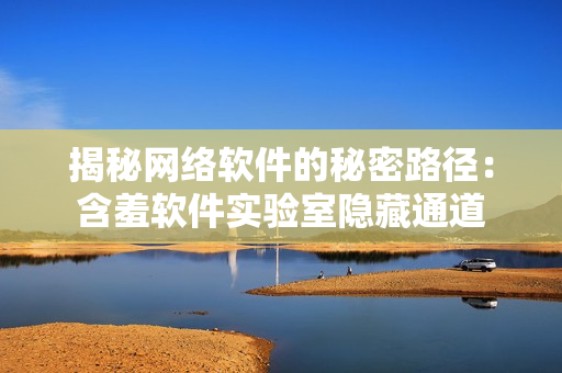 揭秘网络软件的秘密路径：含羞软件实验室隐藏通道