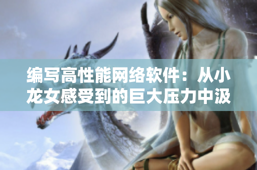 编写高性能网络软件：从小龙女感受到的巨大压力中汲取灵感