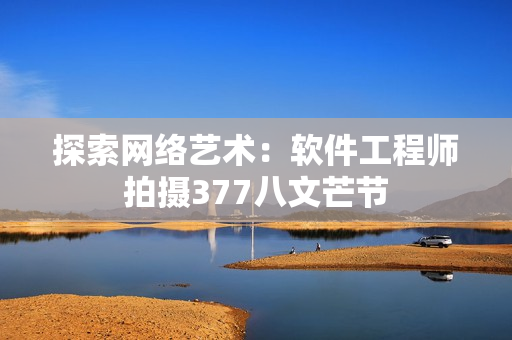 探索网络艺术：软件工程师拍摄377八文芒节