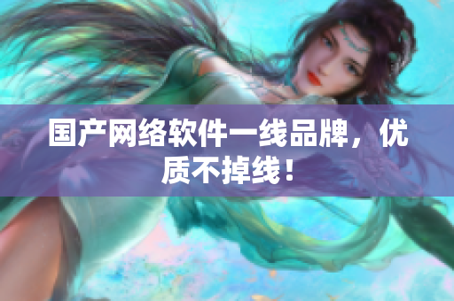 国产网络软件一线品牌，优质不掉线！