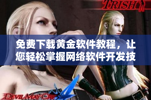 免费下载黄金软件教程，让您轻松掌握网络软件开发技术