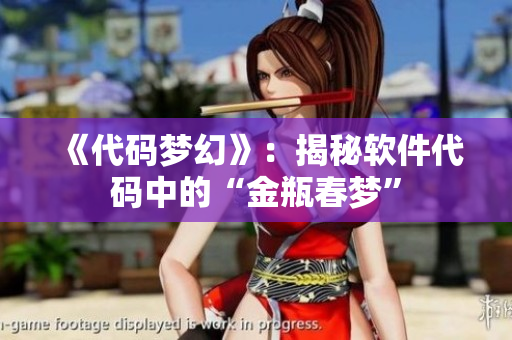 《代码梦幻》：揭秘软件代码中的“金瓶春梦”