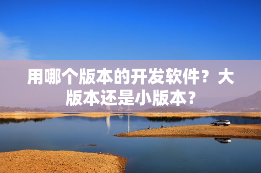 用哪个版本的开发软件？大版本还是小版本？