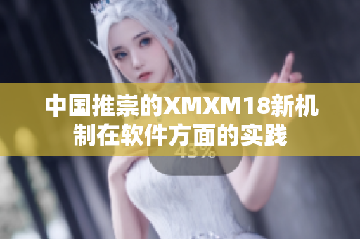 中国推崇的XMXM18新机制在软件方面的实践