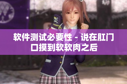 软件测试必要性 - 说在肛门口摸到软软肉之后