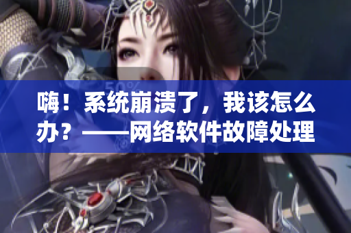 嗨！系统崩溃了，我该怎么办？——网络软件故障处理技巧分享