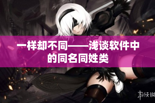 一样却不同——浅谈软件中的同名同姓类