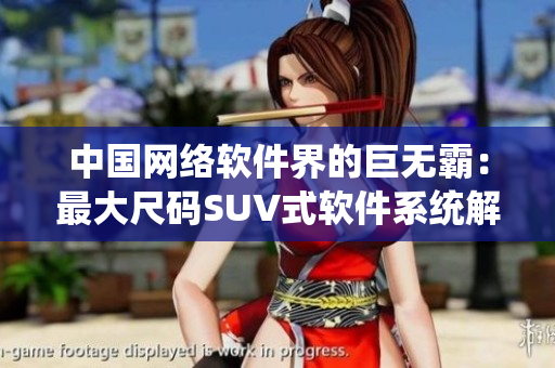 中国网络软件界的巨无霸：最大尺码SUV式软件系统解析