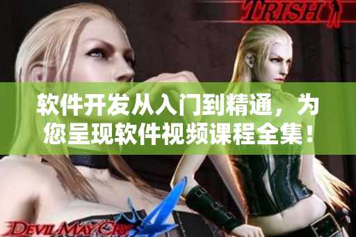 软件开发从入门到精通，为您呈现软件视频课程全集！