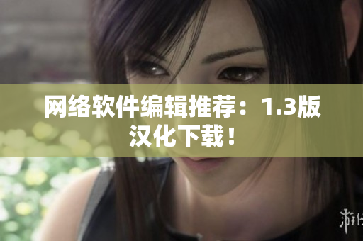 网络软件编辑推荐：1.3版汉化下载！