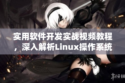 实用软件开发实战视频教程，深入解析Linux操作系统