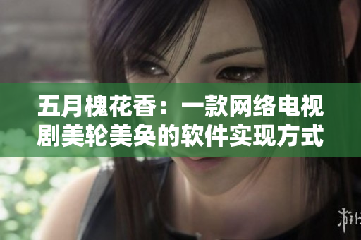 五月槐花香：一款网络电视剧美轮美奂的软件实现方式