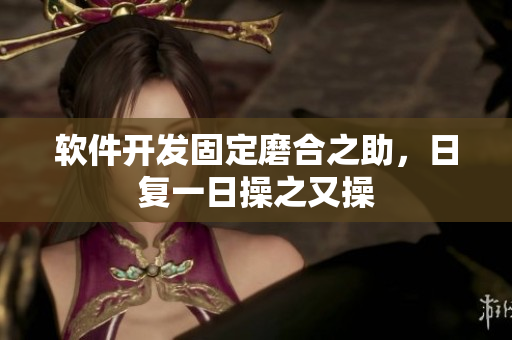 软件开发固定磨合之助，日复一日操之又操