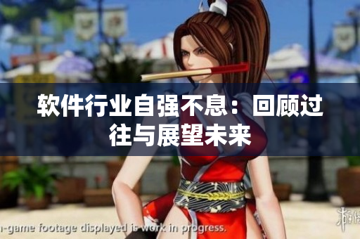 软件行业自强不息：回顾过往与展望未来