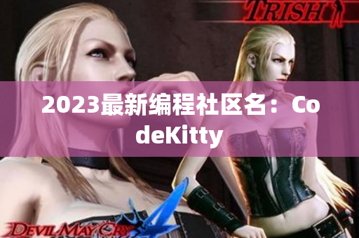 2023最新编程社区名：CodeKitty