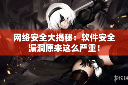 网络安全大揭秘：软件安全漏洞原来这么严重！