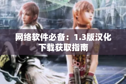 网络软件必备：1.3版汉化下载获取指南