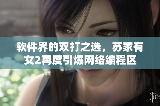 软件界的双打之选，苏家有女2再度引爆网络编程区