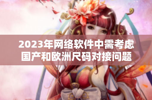 2023年网络软件中需考虑国产和欧洲尺码对接问题