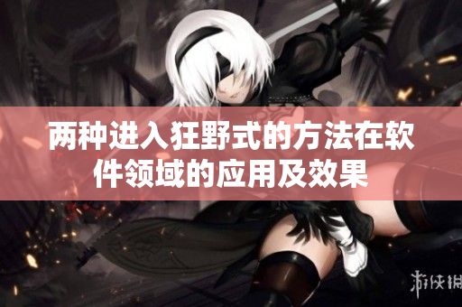 两种进入狂野式的方法在软件领域的应用及效果