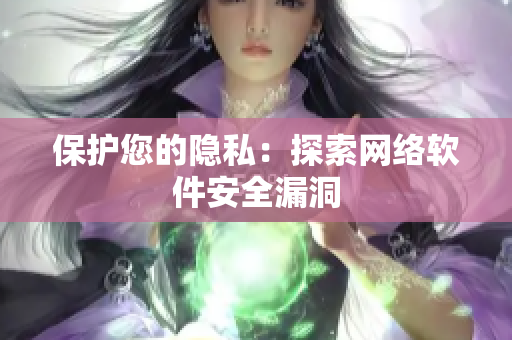 保护您的隐私：探索网络软件安全漏洞