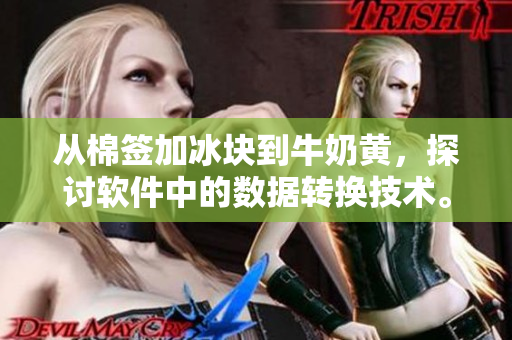 从棉签加冰块到牛奶黄，探讨软件中的数据转换技术。