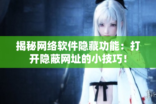揭秘网络软件隐藏功能：打开隐蔽网址的小技巧！