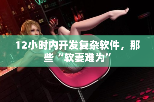 12小时内开发复杂软件，那些“软妻难为”