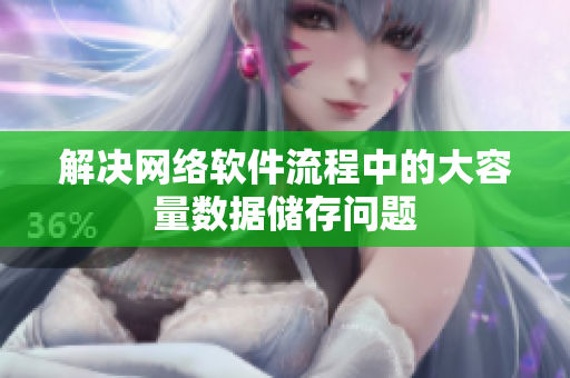 解决网络软件流程中的大容量数据储存问题