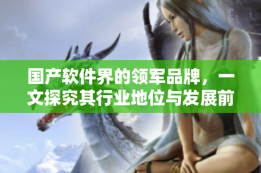 国产软件界的领军品牌，一文探究其行业地位与发展前景