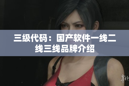三级代码：国产软件一线二线三线品牌介绍