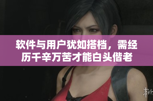 软件与用户犹如搭档，需经历千辛万苦才能白头偕老