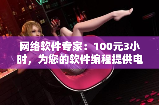 网络软件专家：100元3小时，为您的软件编程提供电话指导