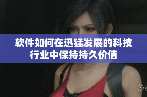 软件如何在迅猛发展的科技行业中保持持久价值