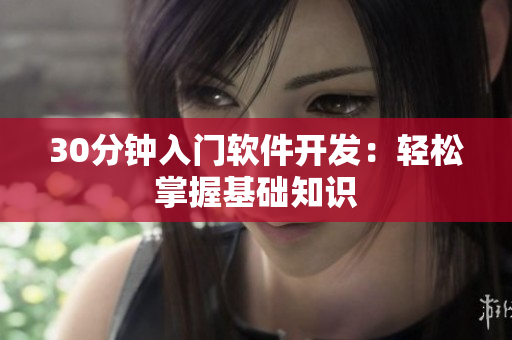 30分钟入门软件开发：轻松掌握基础知识