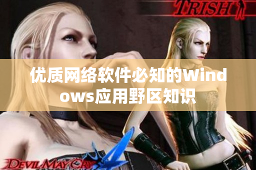 优质网络软件必知的Windows应用野区知识