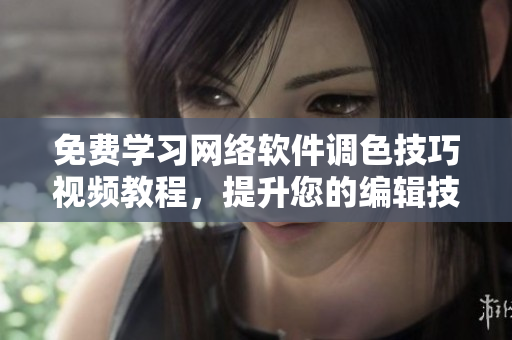 免费学习网络软件调色技巧视频教程，提升您的编辑技能！