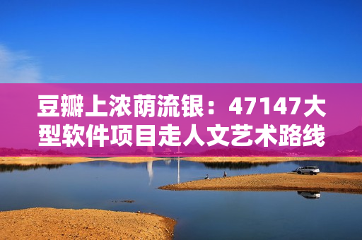 豆瓣上浓荫流银：47147大型软件项目走人文艺术路线