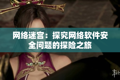 网络迷宫：探究网络软件安全问题的探险之旅